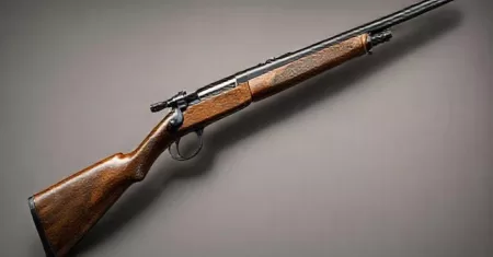 Entendendo o Ferrolho Mauser: A Evolução dos Sistemas de Armas de Fogo
