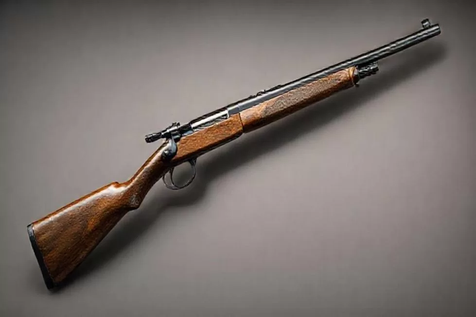 Entendendo o Ferrolho Mauser: A Evolução dos Sistemas de Armas de Fogo